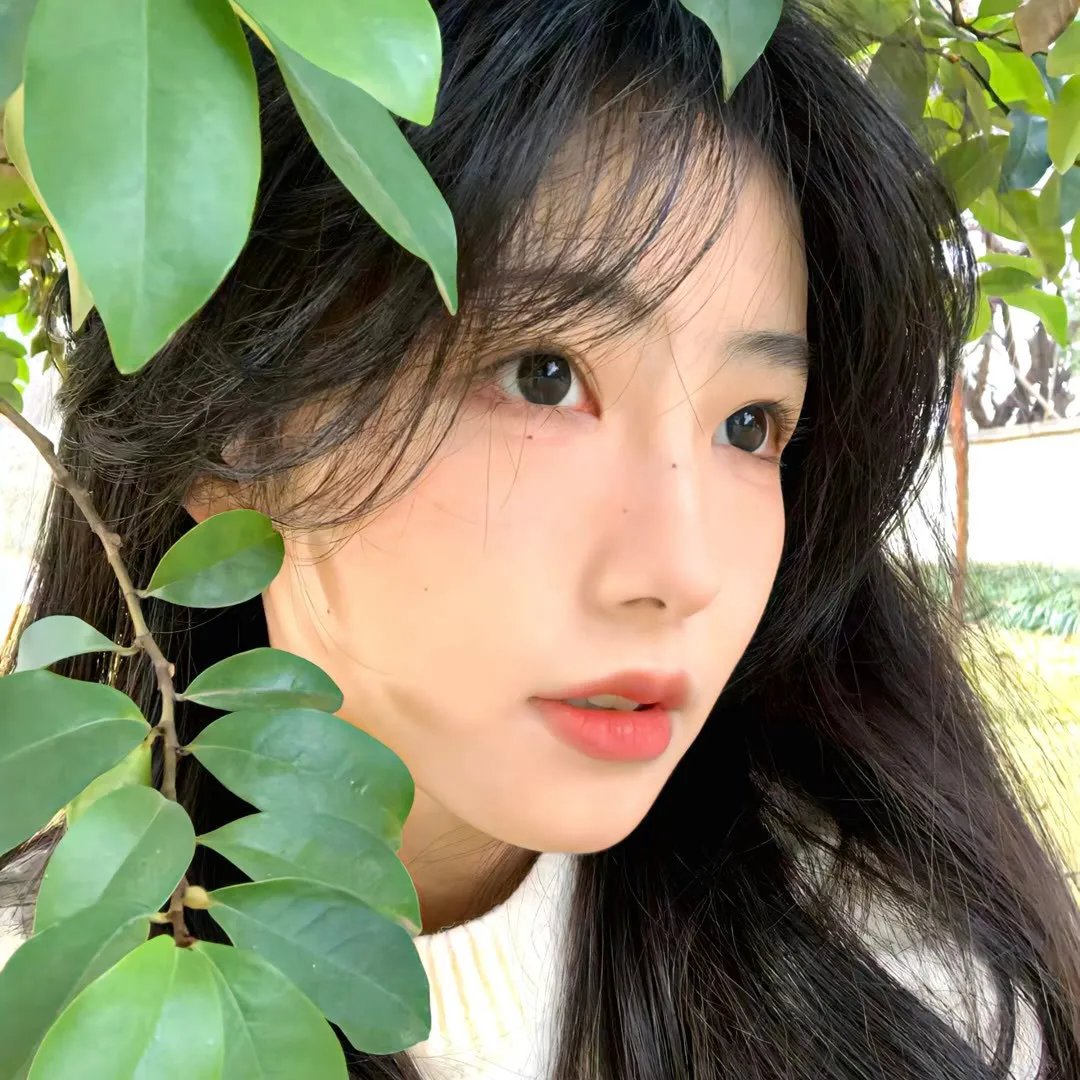 女高怪谈 焦点图