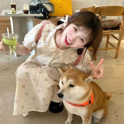 我的喜马拉雅 海报